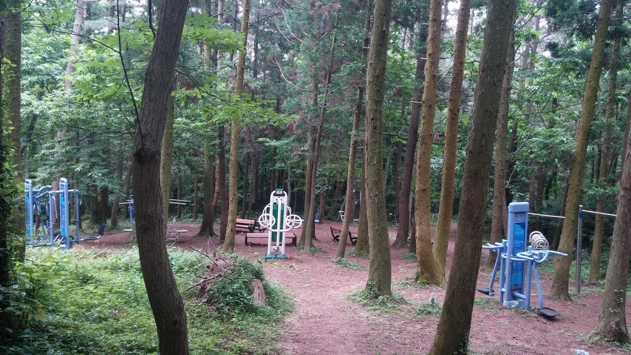 Blue Island Guesthouse Seogwipo Exterior photo